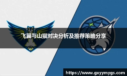 飞翼与山猫对决分析及推荐策略分享
